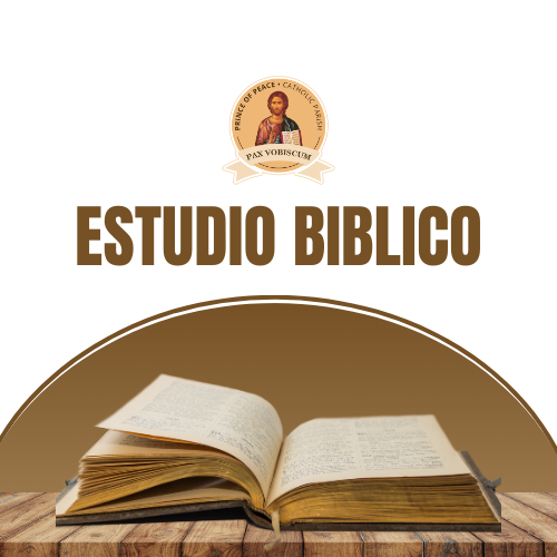 Estudio Biblico                                                                                                                                                                                                                                                                                             